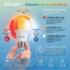 BioLight™ Cirkadián Alvásvédő LED Izzó 2 BioLight Cirkadián teljes spektrum Alvásvédő LED Izzó
